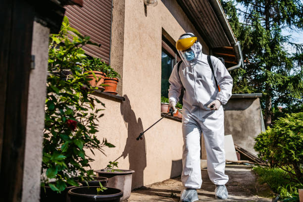 Best Local Pest Control Services  in Coto De Za, CA