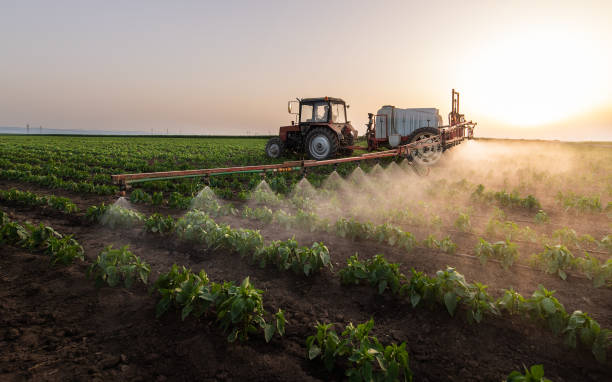 Best Pest Prevention Services  in Coto De Za, CA