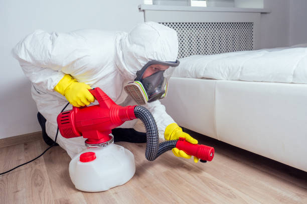 Best Residential Pest Control  in Coto De Za, CA