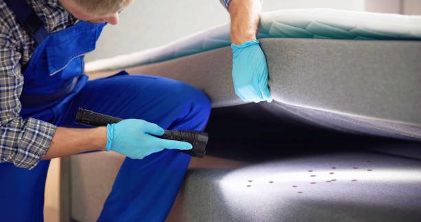 Best Pest Inspection Near Me  in Coto De Za, CA