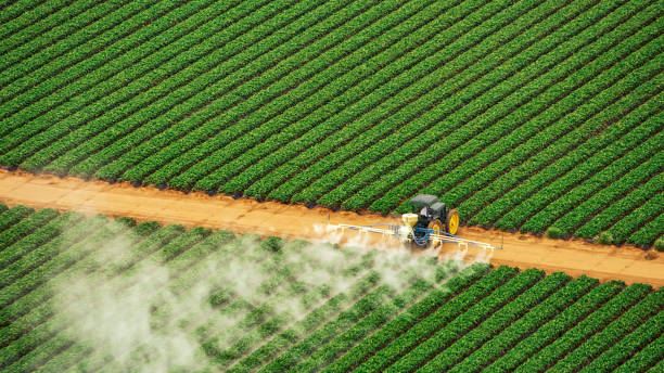 Best Mosquito Control Services  in Coto De Za, CA