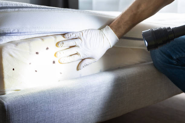 Best Commercial Pest Control Services  in Coto De Za, CA